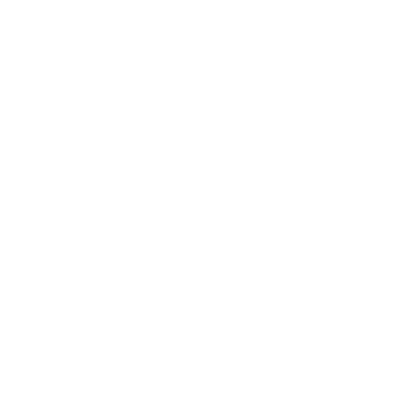 Data Savvy